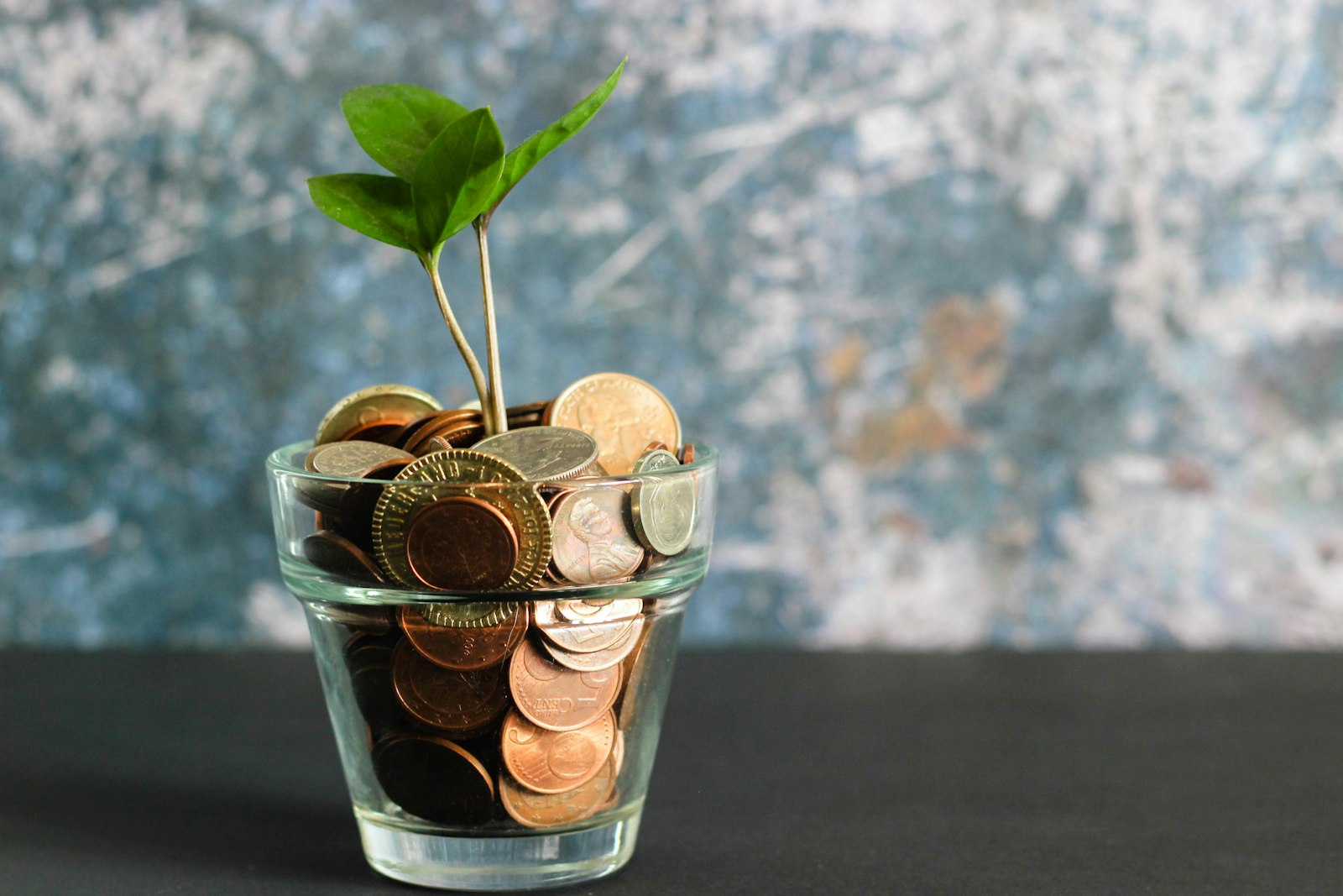 Self-Managed Super Fund (SMSF) services.